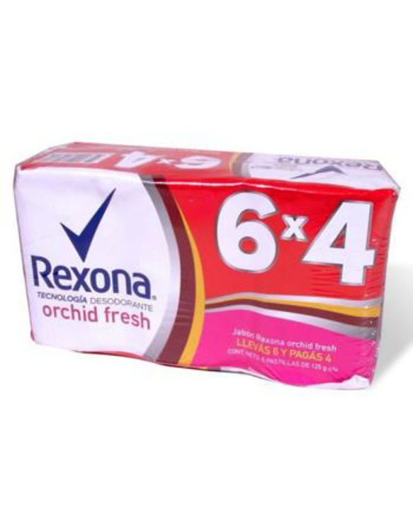 articulos7730165349791jpg