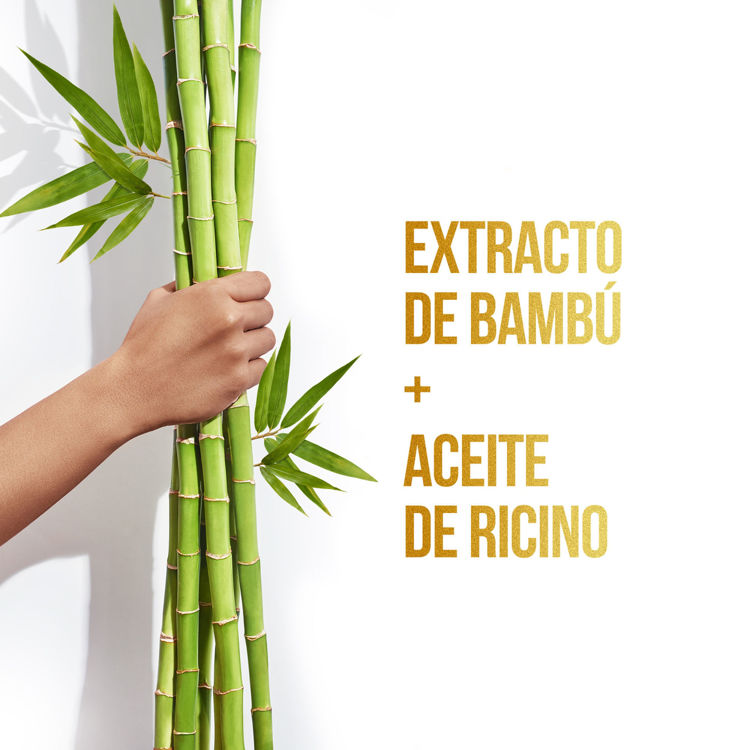 Imagen de Pantene Shampoo Bambu Control Caida 200 ml