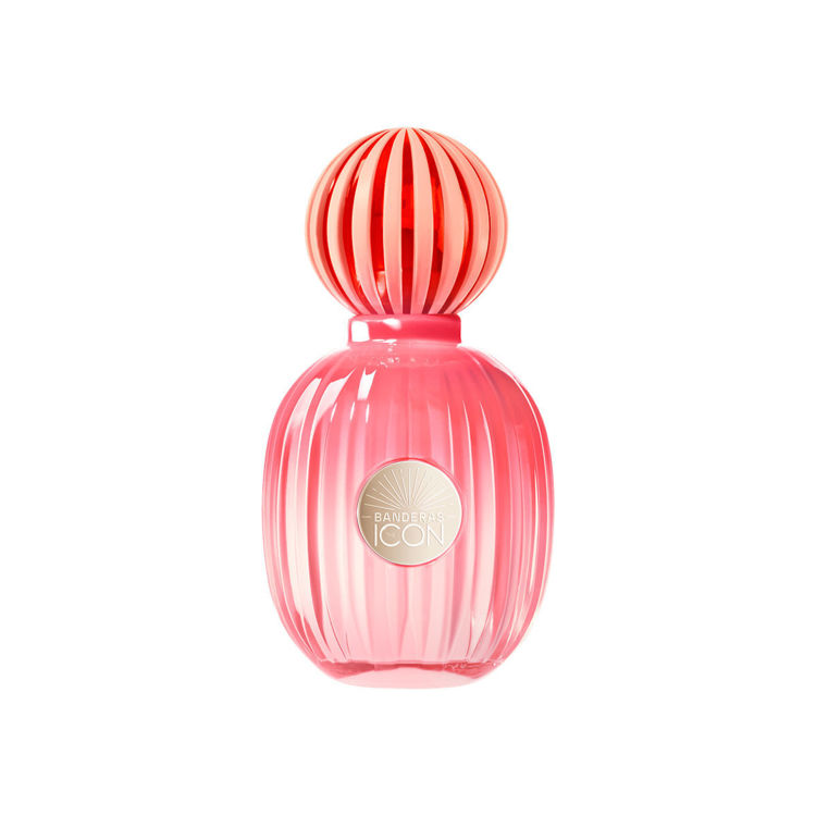 Imagen de Banderas The Icon Splendid  Perfume Mujer  50 ml