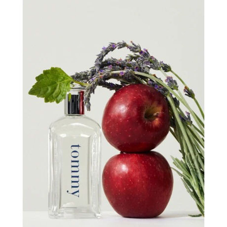 Imagen de Tommy Perfume de Hombre edt  200 ml