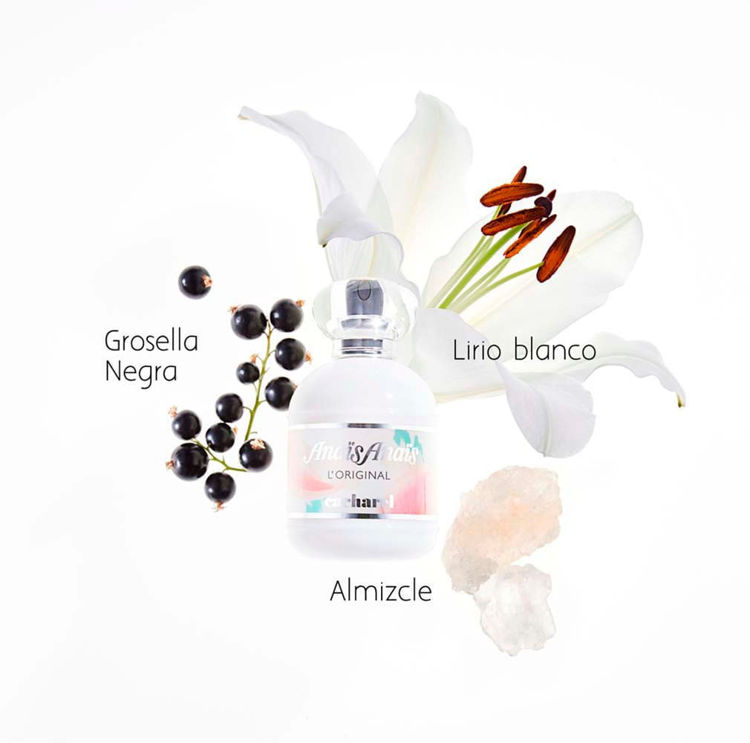 Imagen de Anais Anais Edt X 100 Ml