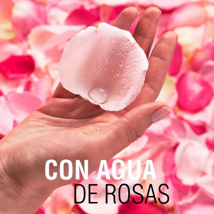 Imagen de Garnier Agua Micelar De Rosas Skin Active 400 ml